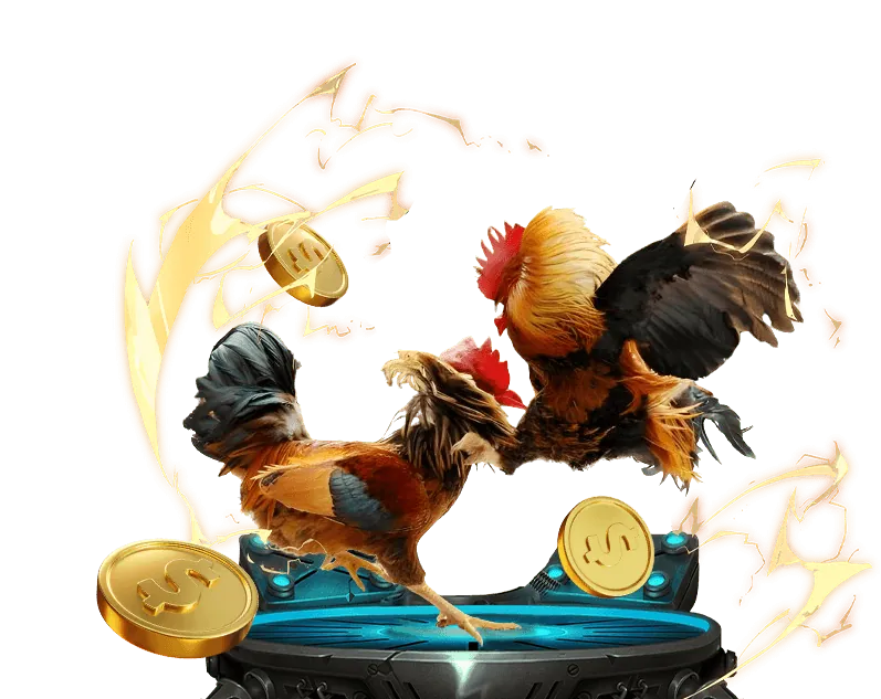 Tổng quan nền tảng 79bets win